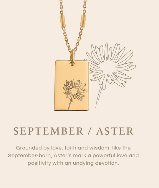 September's Birth Flower -  The Aster