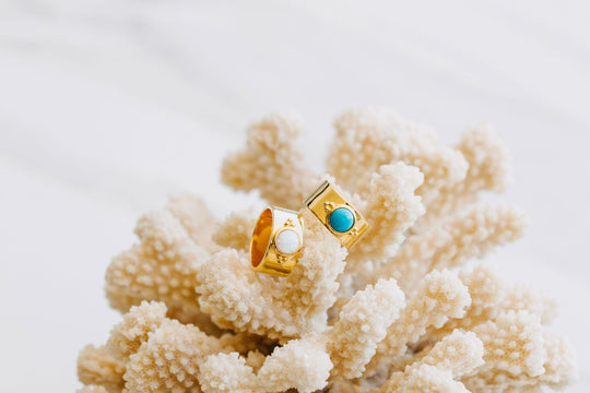 Opals, Pearls and The Shoreline - Why Our Rock Pool Collection Is So Special